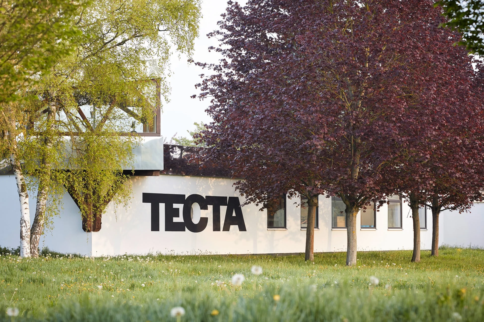 白い建物に大きな「TECTA」のロゴが描かれ、その周りには新緑の木々と赤紫色の木々が立ち並んでいます。