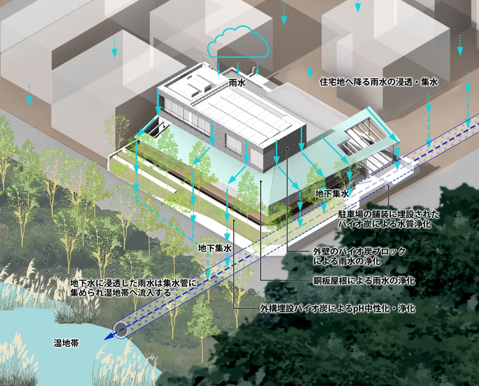 住宅地における雨水管理システムを示す図。屋根、駐車場、外壁などで集められた雨水はバイオ炭で浄化され、地下集水管を通じて湿地帯へ流入する。