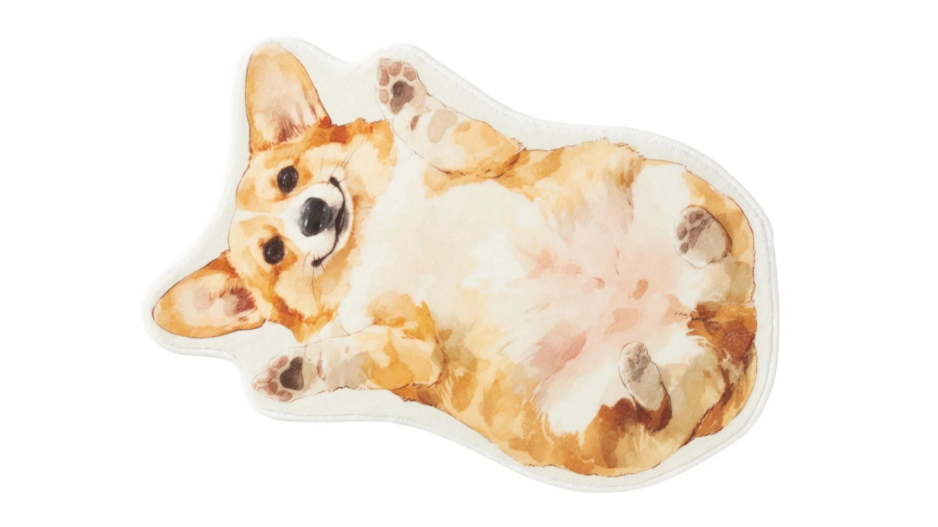 仰向けに寝ているコーギー犬のマット
