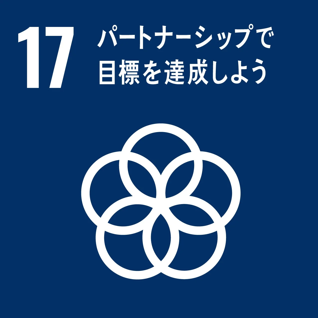 SDGs 目標17：パートナーシップで目標を達成しよう