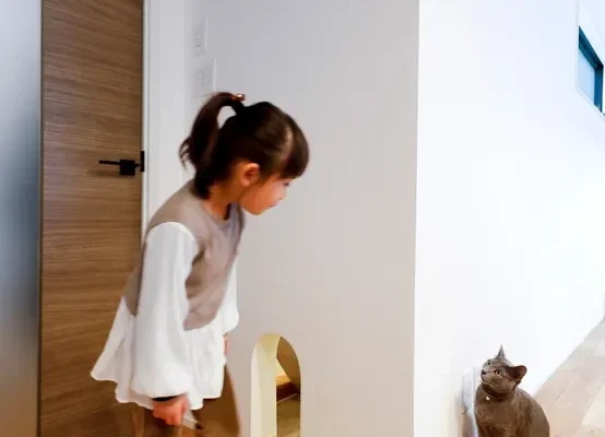猫も人も健康に暮らせる家づくり。野村工務店が提案する「しっくいの壁」の魅力とは？