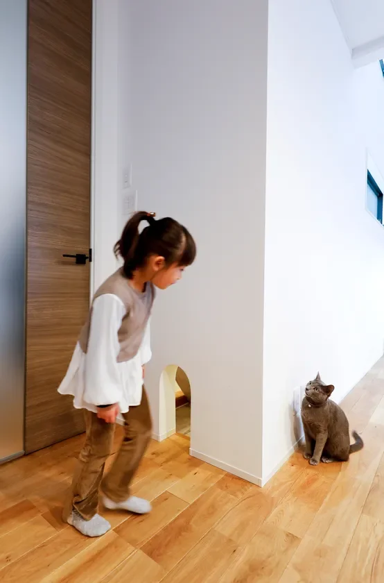 猫も人も健康に暮らせる家づくり。野村工務店が提案する「しっくいの壁」の魅力とは？