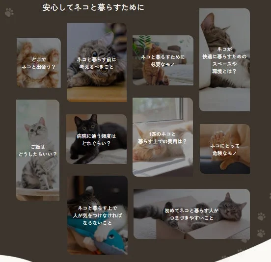 安心してネコと暮らすための情報