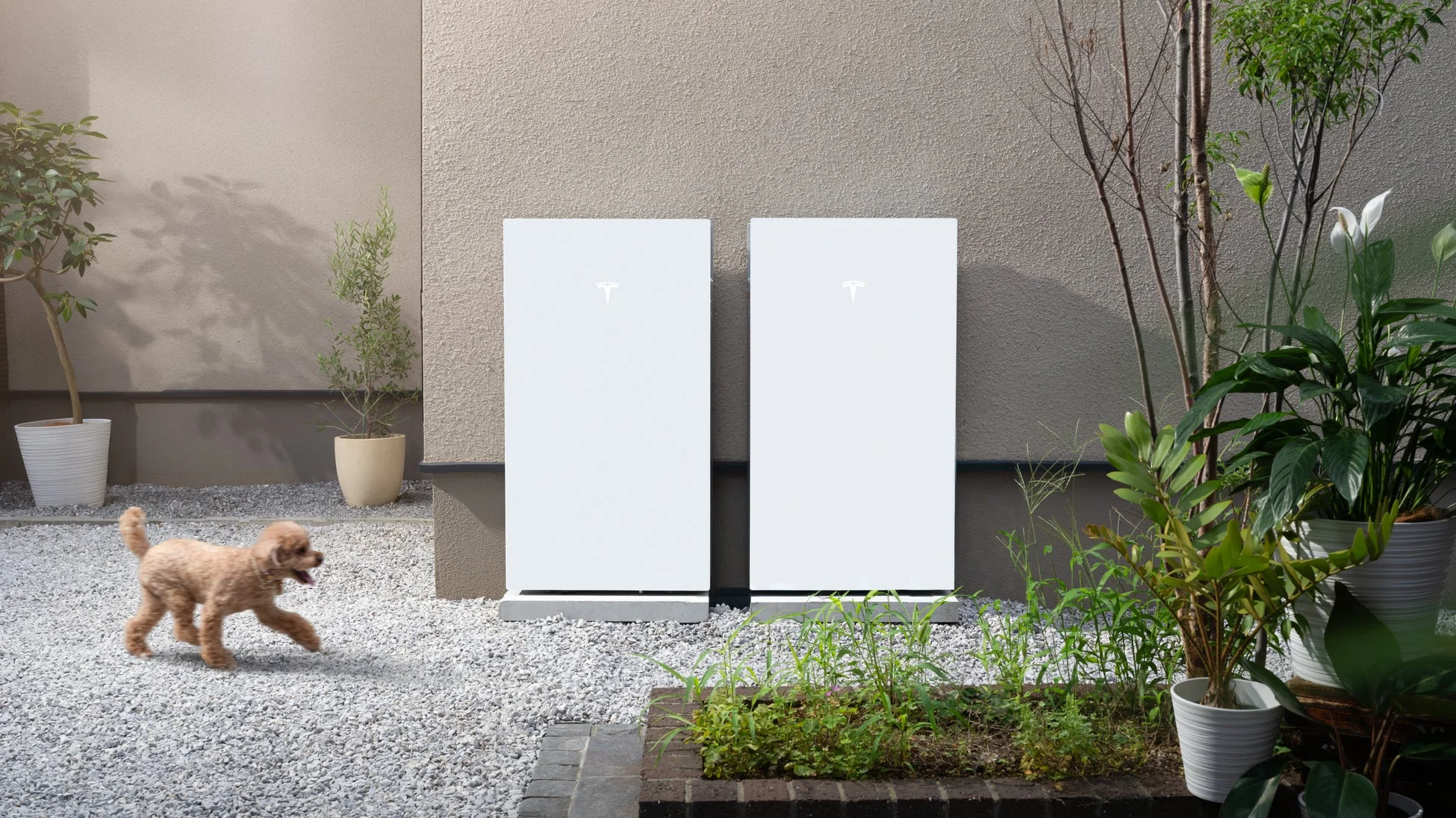 庭に設置されたテスラ Powerwall 3