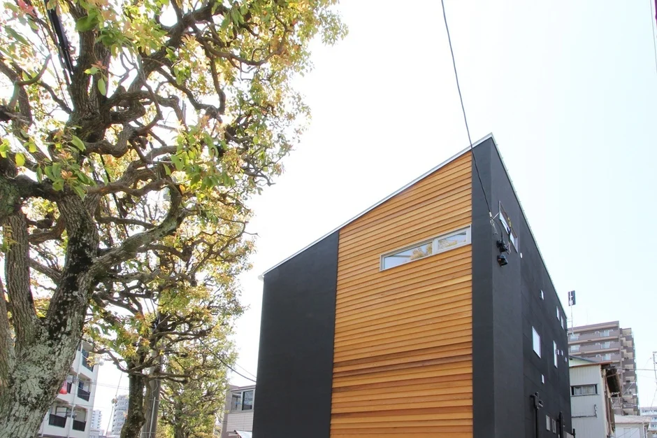 黒い壁と木目の外壁が特徴的な、現代的なデザインの建物