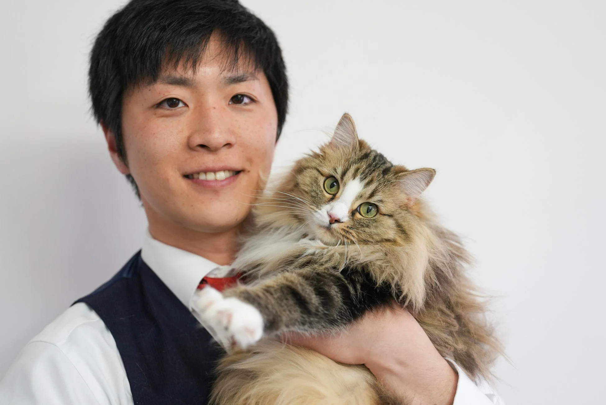男性が猫を抱っこしている画像