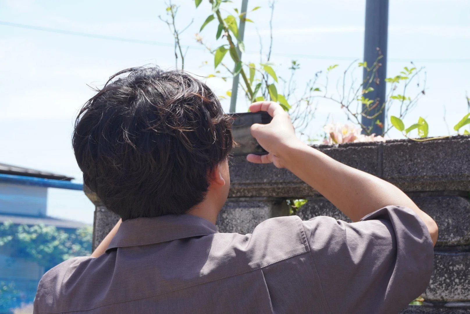 スマートフォンで植物を撮影する人物