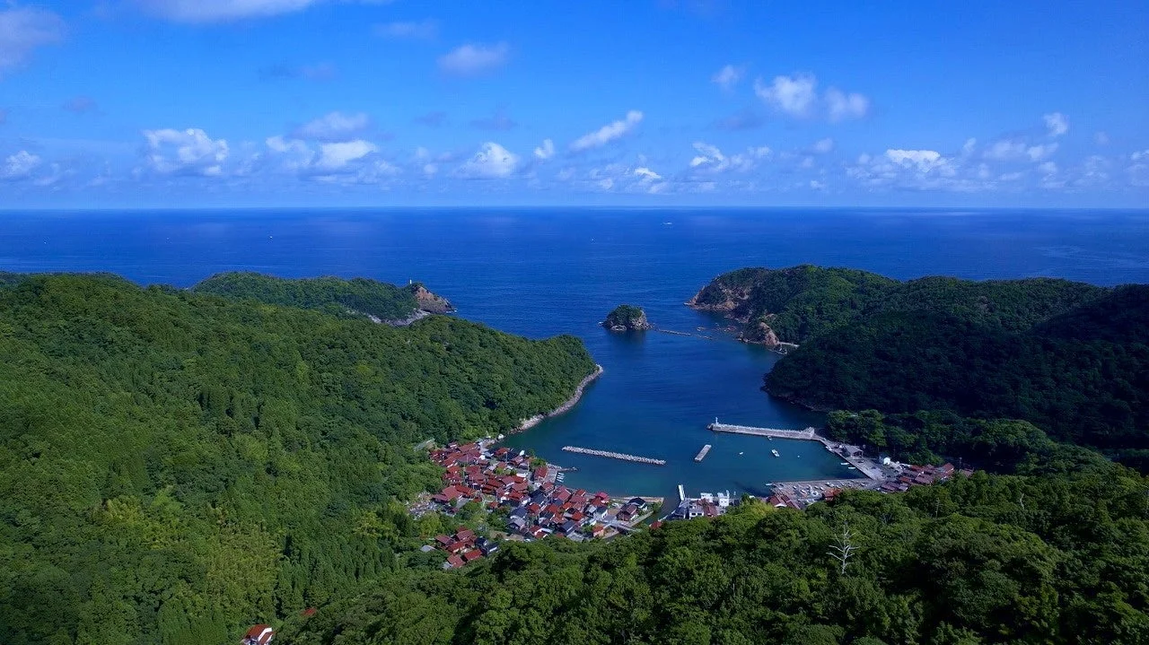空撮、海岸線、集落、海、山、自然、青空、湾、港、漁村、風景