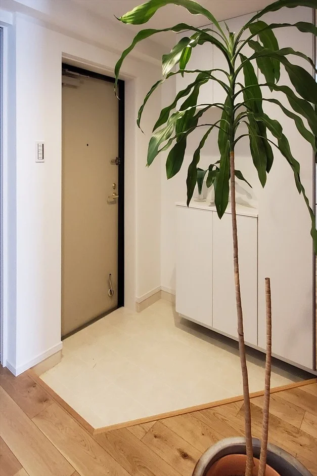 玄関の観葉植物