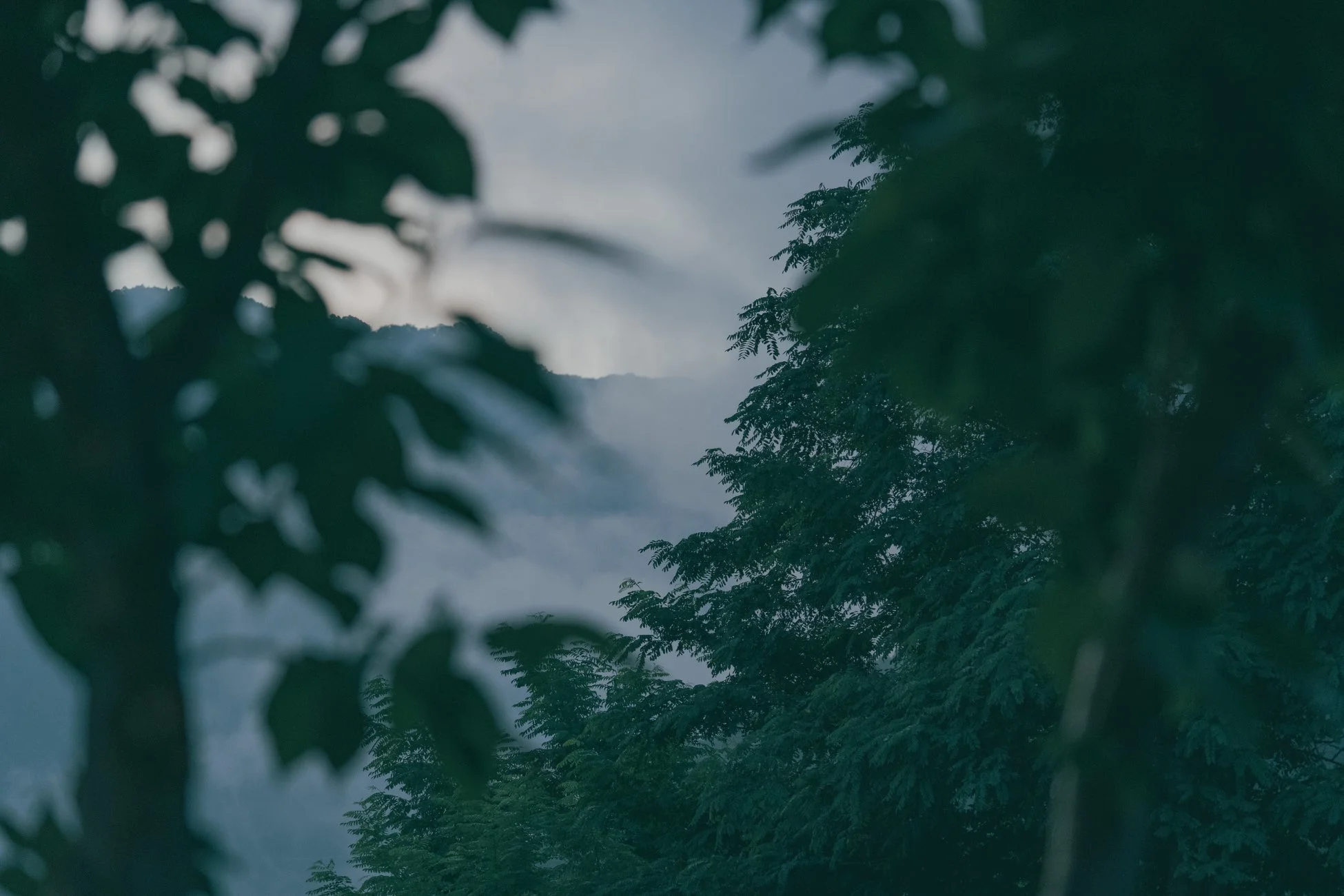 山々に霧が立ち込める幻想的な風景