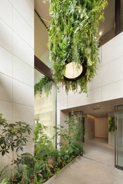 植物のあるエントランス空間